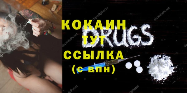 мдпв Магас